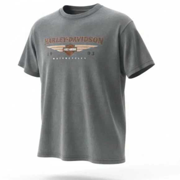 Genuine Harley-Davidson Men’s T-Shirt Sz Large Gray New Smyrna Beach Florida - Picture 1 of 12